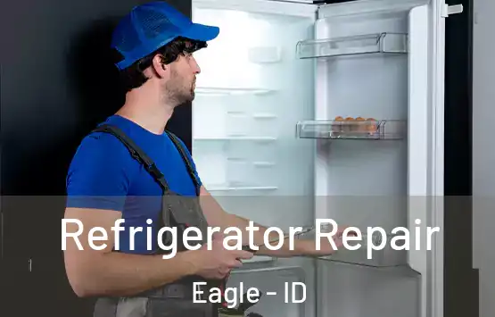  Refrigerator Repair Eagle - ID
