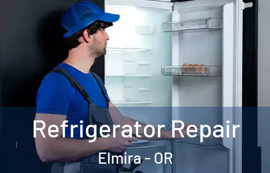  Refrigerator Repair Elmira - OR