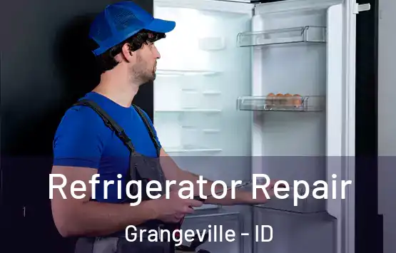  Refrigerator Repair Grangeville - ID