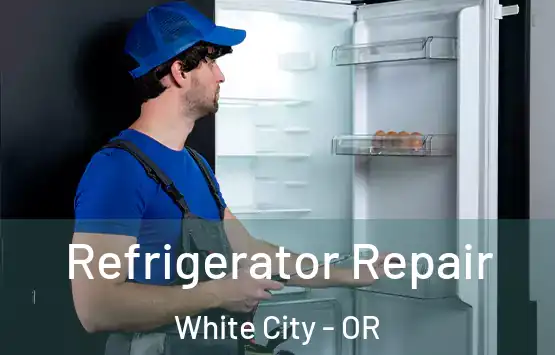  Refrigerator Repair White City - OR