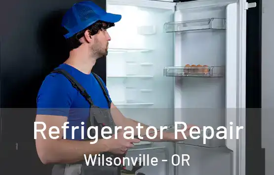  Refrigerator Repair Wilsonville - OR