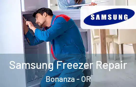  Samsung Freezer Repair Bonanza - OR