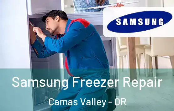  Samsung Freezer Repair Camas Valley - OR