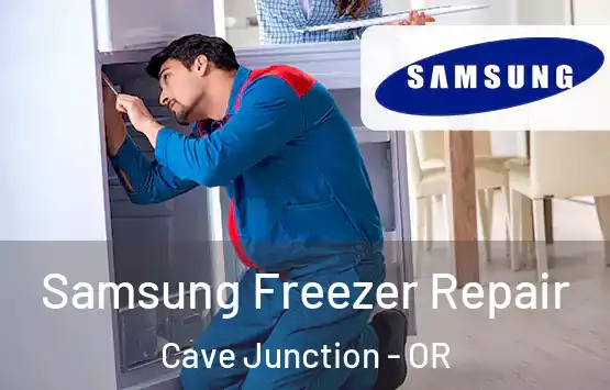  Samsung Freezer Repair Cave Junction - OR