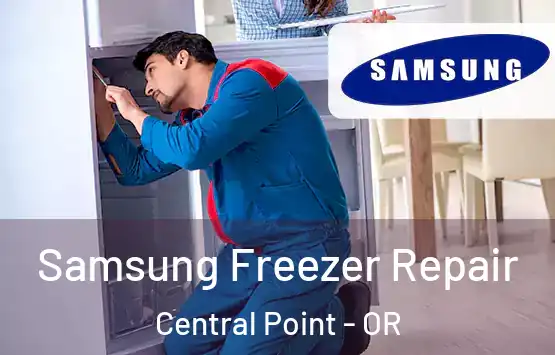  Samsung Freezer Repair Central Point - OR