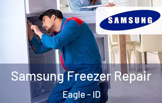  Samsung Freezer Repair Eagle - ID