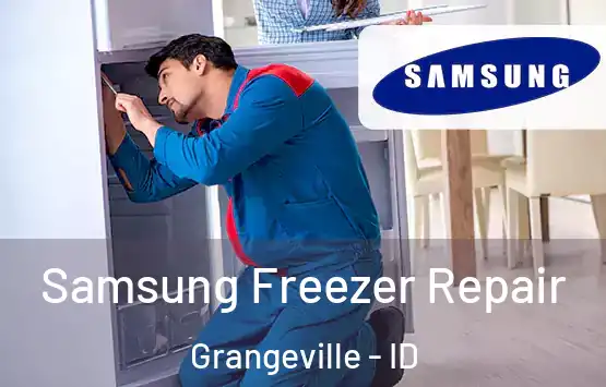  Samsung Freezer Repair Grangeville - ID