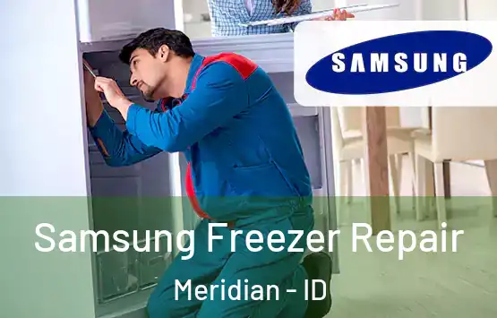  Samsung Freezer Repair Meridian - ID