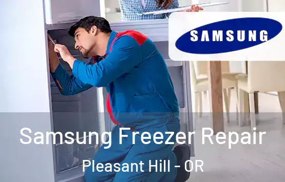 Samsung Freezer Repair Pleasant Hill - OR