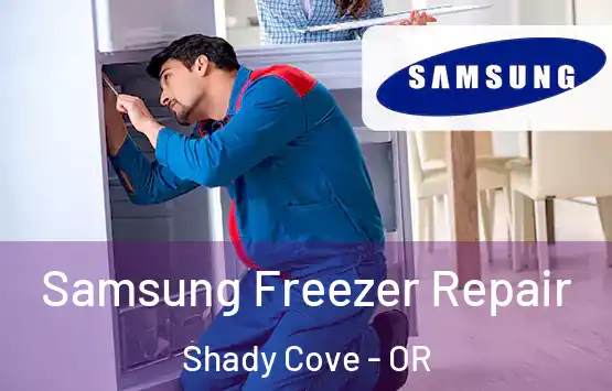  Samsung Freezer Repair Shady Cove - OR