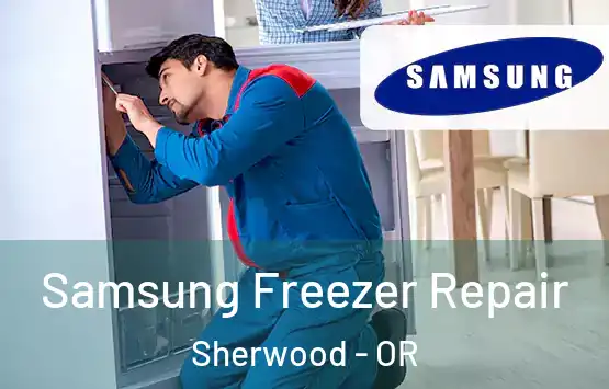  Samsung Freezer Repair Sherwood - OR
