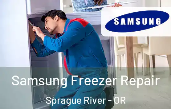  Samsung Freezer Repair Sprague River - OR