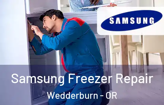  Samsung Freezer Repair Wedderburn - OR