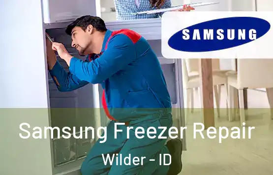  Samsung Freezer Repair Wilder - ID