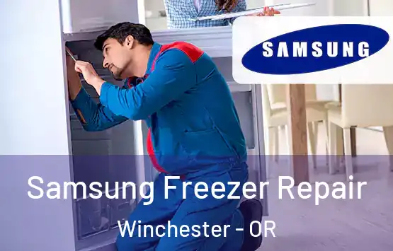  Samsung Freezer Repair Winchester - OR