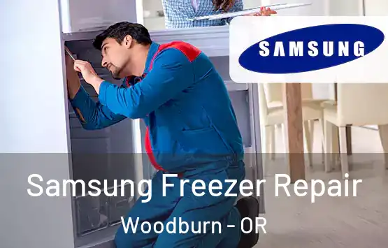  Samsung Freezer Repair Woodburn - OR