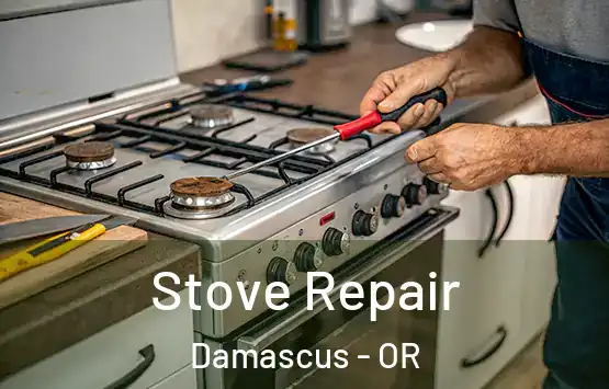  Stove Repair Damascus - OR