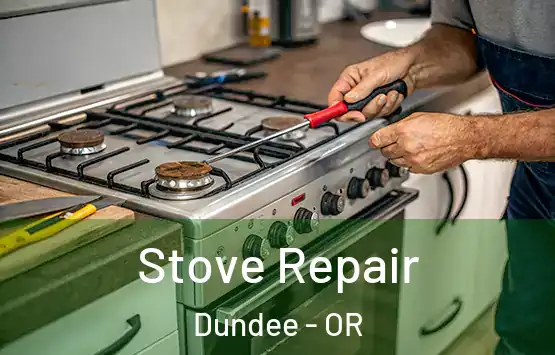  Stove Repair Dundee - OR
