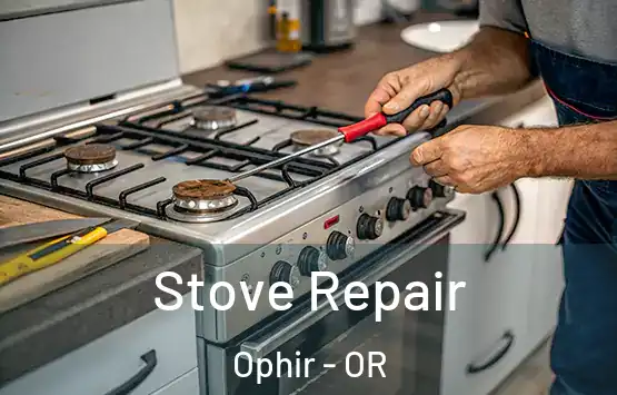  Stove Repair Ophir - OR