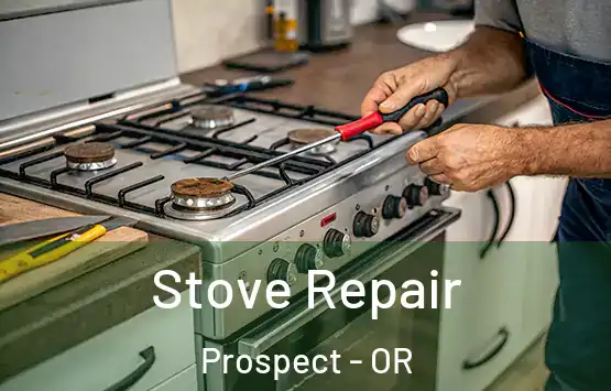  Stove Repair Prospect - OR