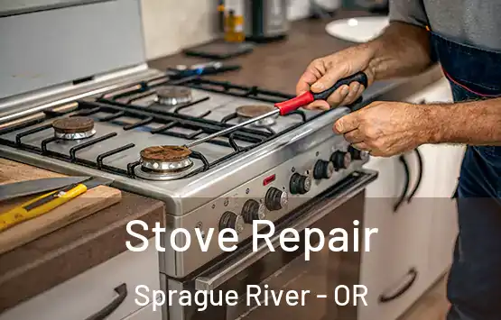  Stove Repair Sprague River - OR
