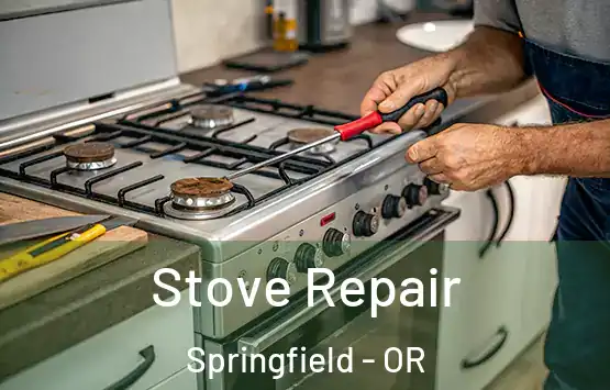  Stove Repair Springfield - OR
