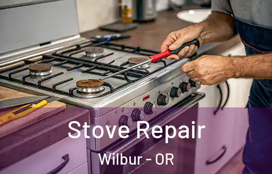  Stove Repair Wilbur - OR