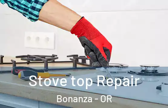  Stove top Repair Bonanza - OR