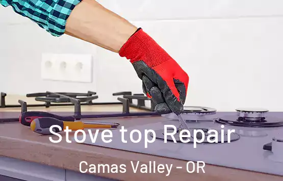  Stove top Repair Camas Valley - OR