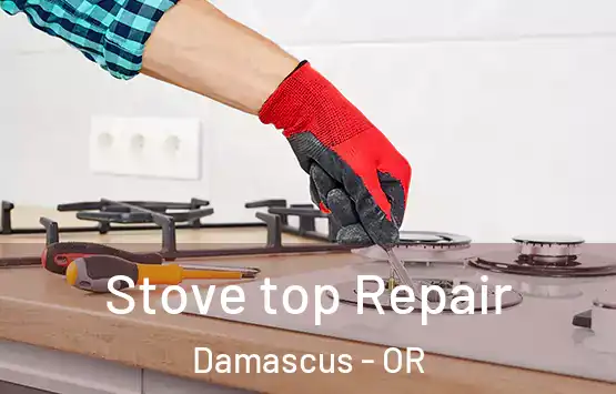  Stove top Repair Damascus - OR