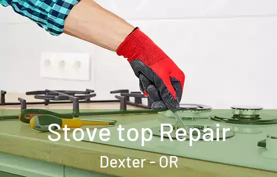  Stove top Repair Dexter - OR