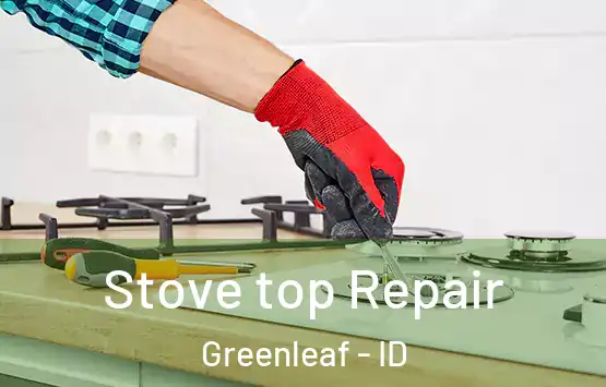  Stove top Repair Greenleaf - ID