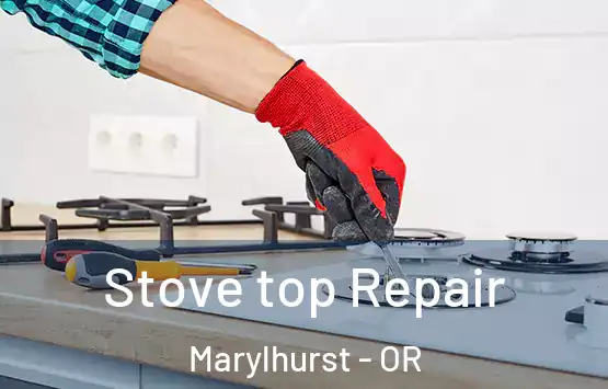  Stove top Repair Marylhurst - OR