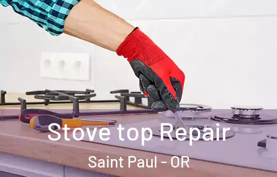  Stove top Repair Saint Paul - OR