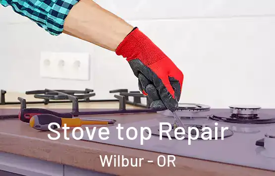  Stove top Repair Wilbur - OR