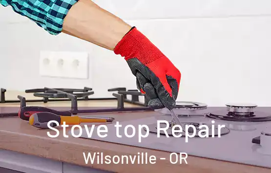  Stove top Repair Wilsonville - OR
