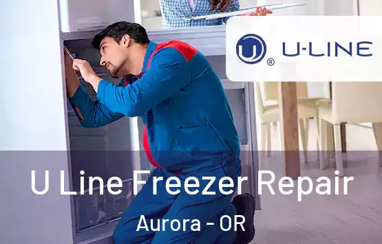  U Line Freezer Repair Aurora - OR