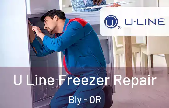  U Line Freezer Repair Bly - OR