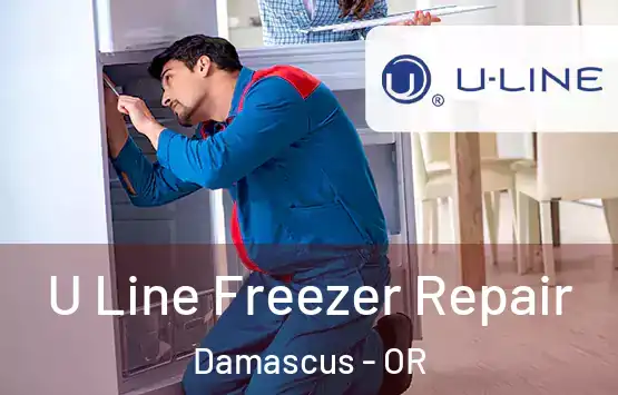  U Line Freezer Repair Damascus - OR