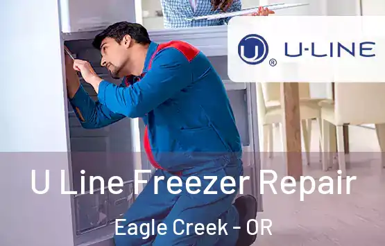  U Line Freezer Repair Eagle Creek - OR