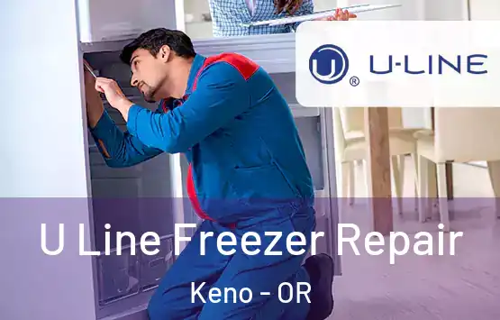  U Line Freezer Repair Keno - OR