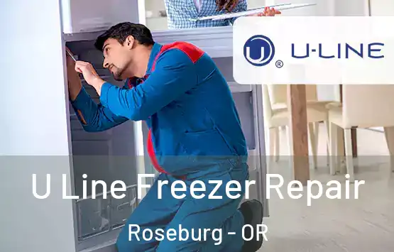  U Line Freezer Repair Roseburg - OR