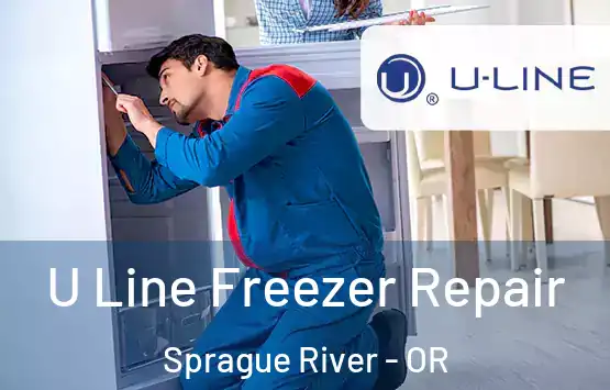  U Line Freezer Repair Sprague River - OR