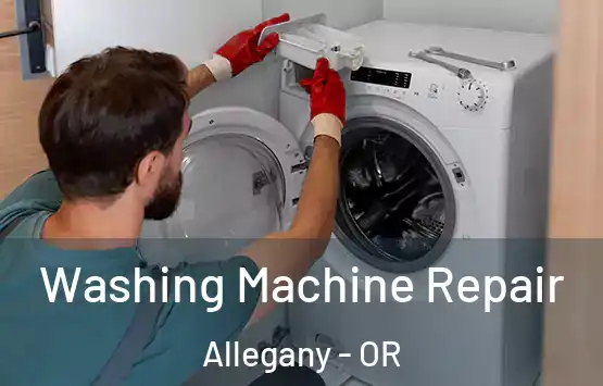 Washing Machine Repair Allegany - OR