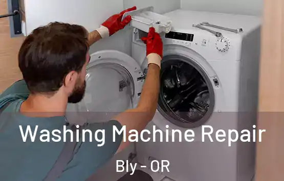  Washing Machine Repair Bly - OR