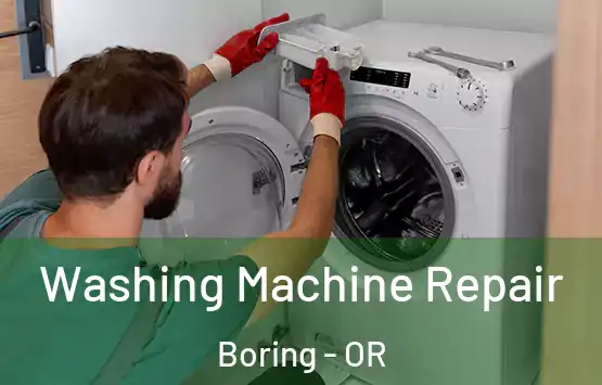  Washing Machine Repair Boring - OR