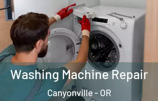  Washing Machine Repair Canyonville - OR
