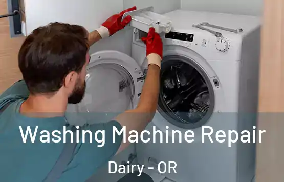  Washing Machine Repair Dairy - OR
