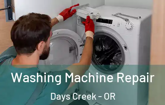  Washing Machine Repair Days Creek - OR