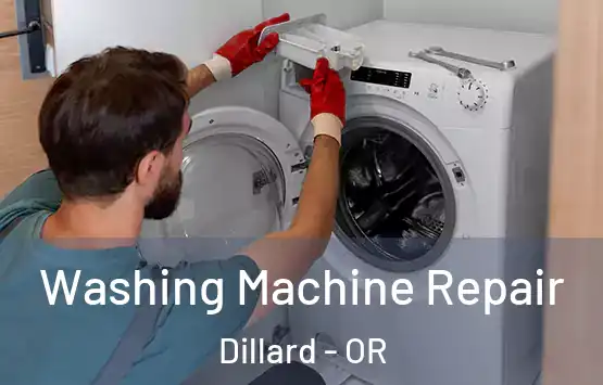  Washing Machine Repair Dillard - OR